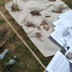 fdr_23_node9_garden-networks_c_michal-klodner_img_20230625_114637_53512680398_o.jpg
