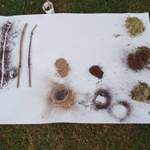 fdr_23_node9_garden-networks_c_michal-klodner_img_20230625_114714_53511619912_o.jpg